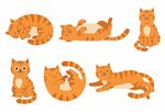 橘猫插画合集