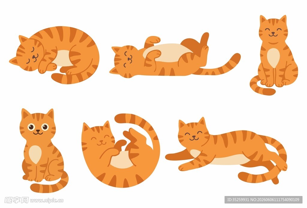 橘猫插画合集