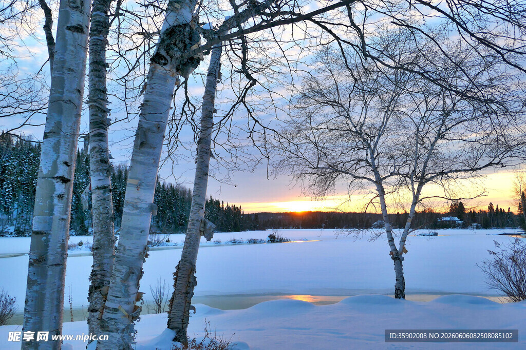 冬日雪林夕阳美景