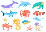 海洋生物合集