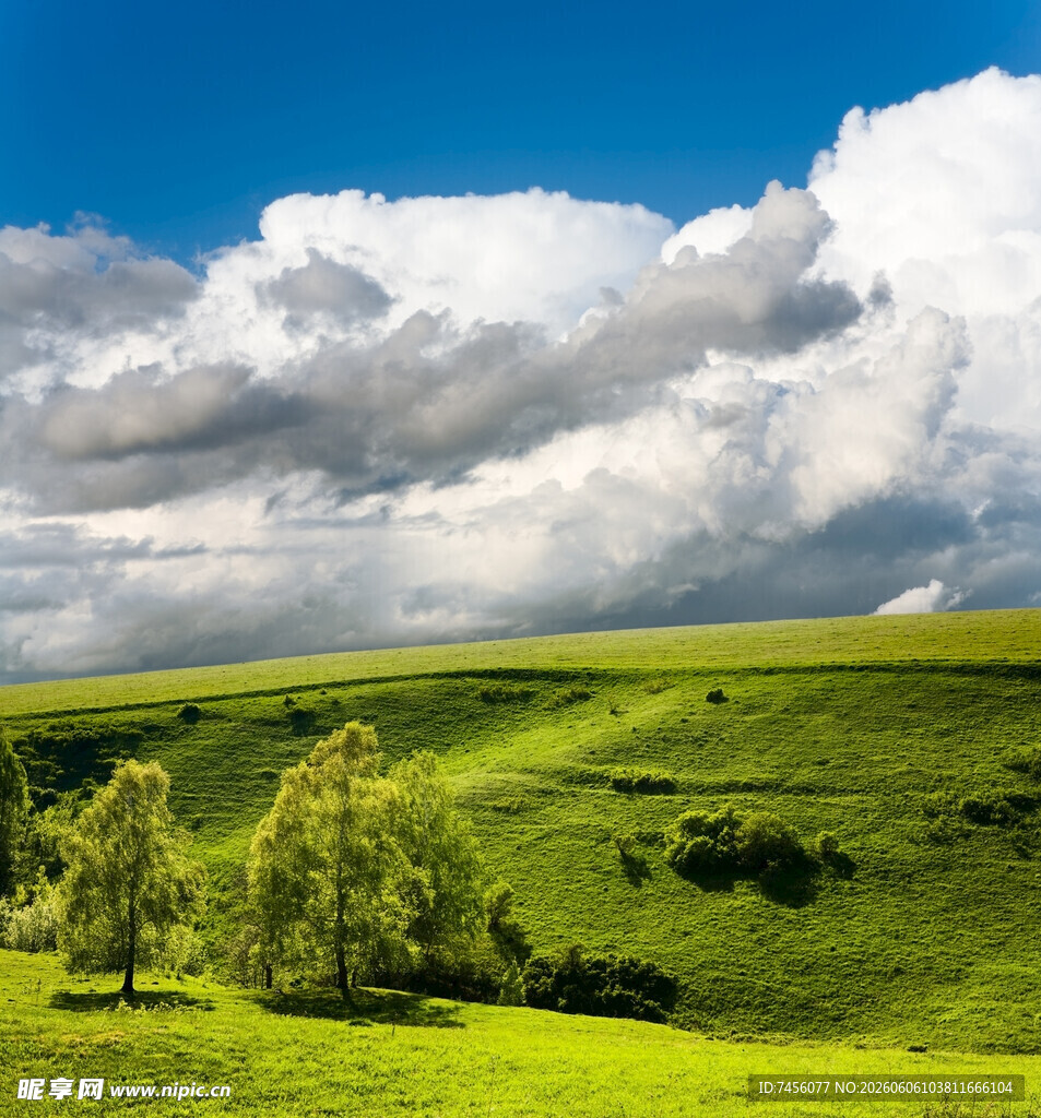 草原风光绿意盎然的美景