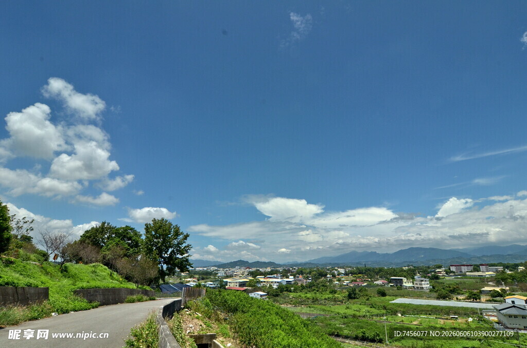 乡村公路边的美丽自然风光