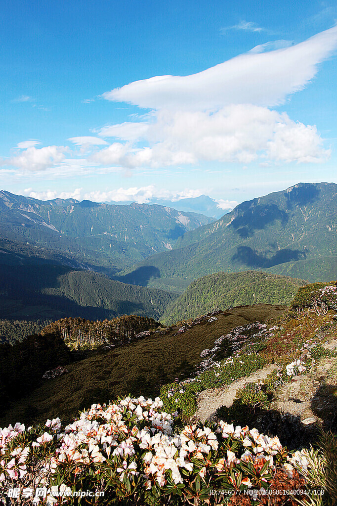 山间繁花与壮丽山峦景色