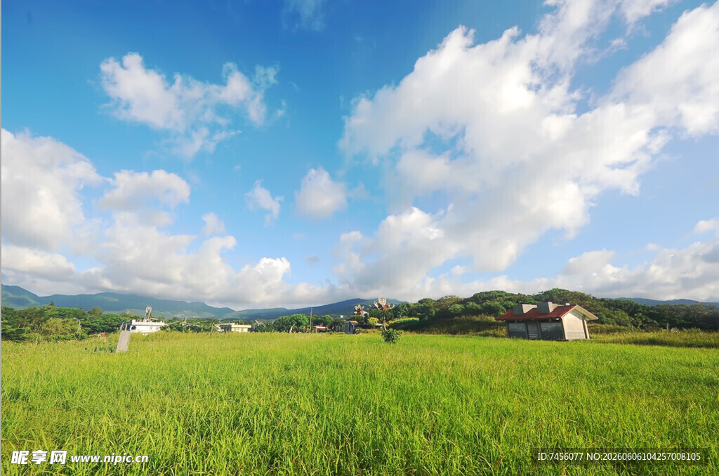 田园风光绿野中的宁静家园