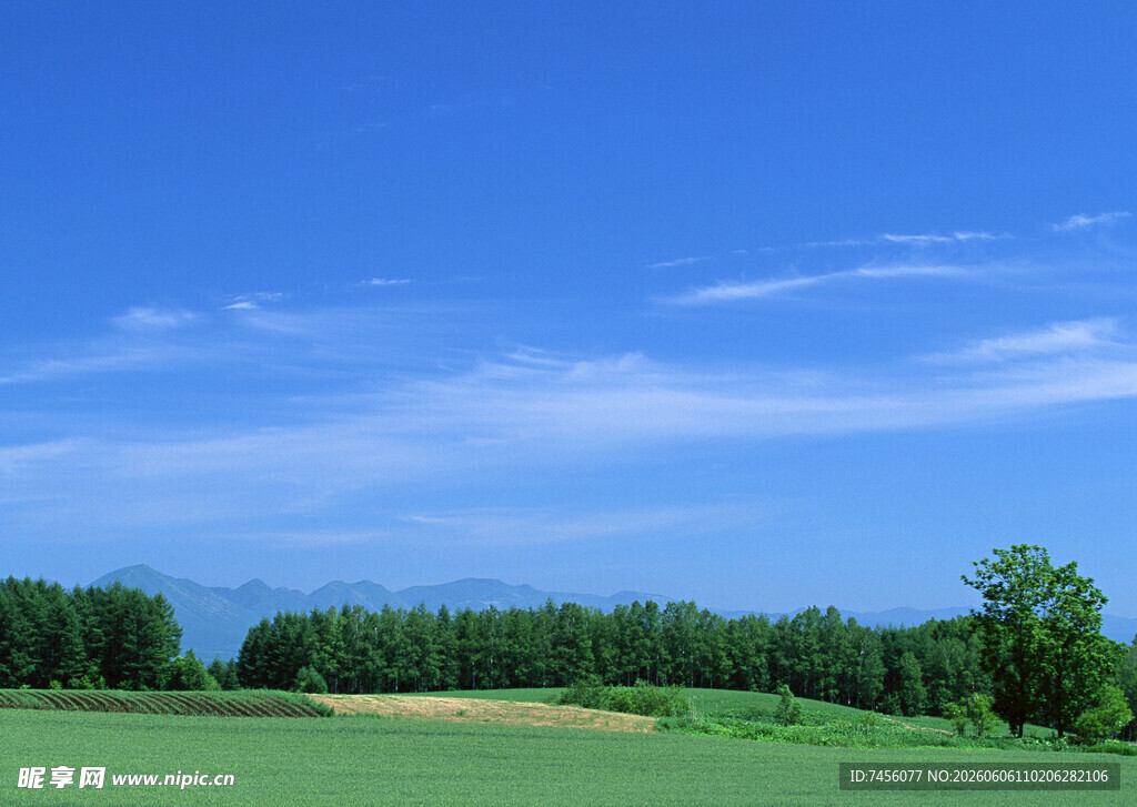田园风光蓝天绿树美景