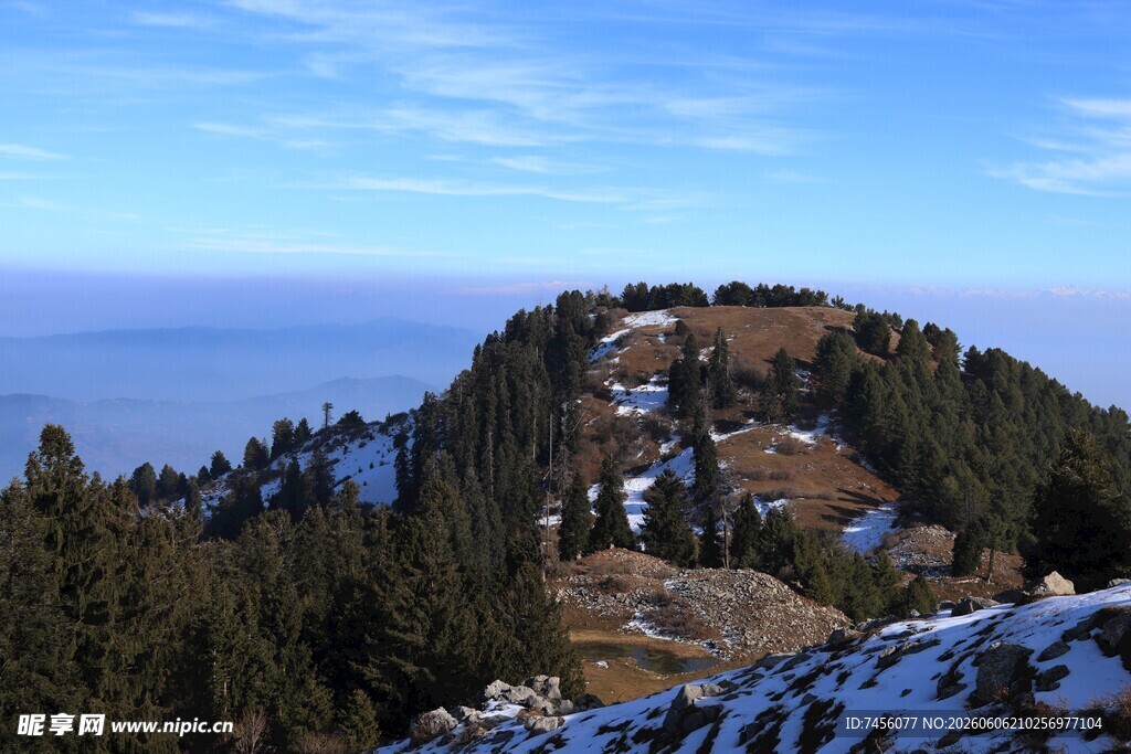 雪山松林环绕的山间美景