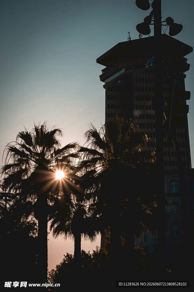 夕阳下的塔楼与棕榈树