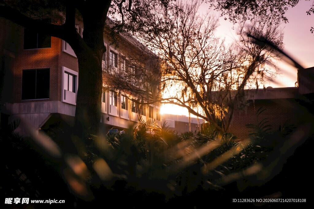 夕阳下的温馨