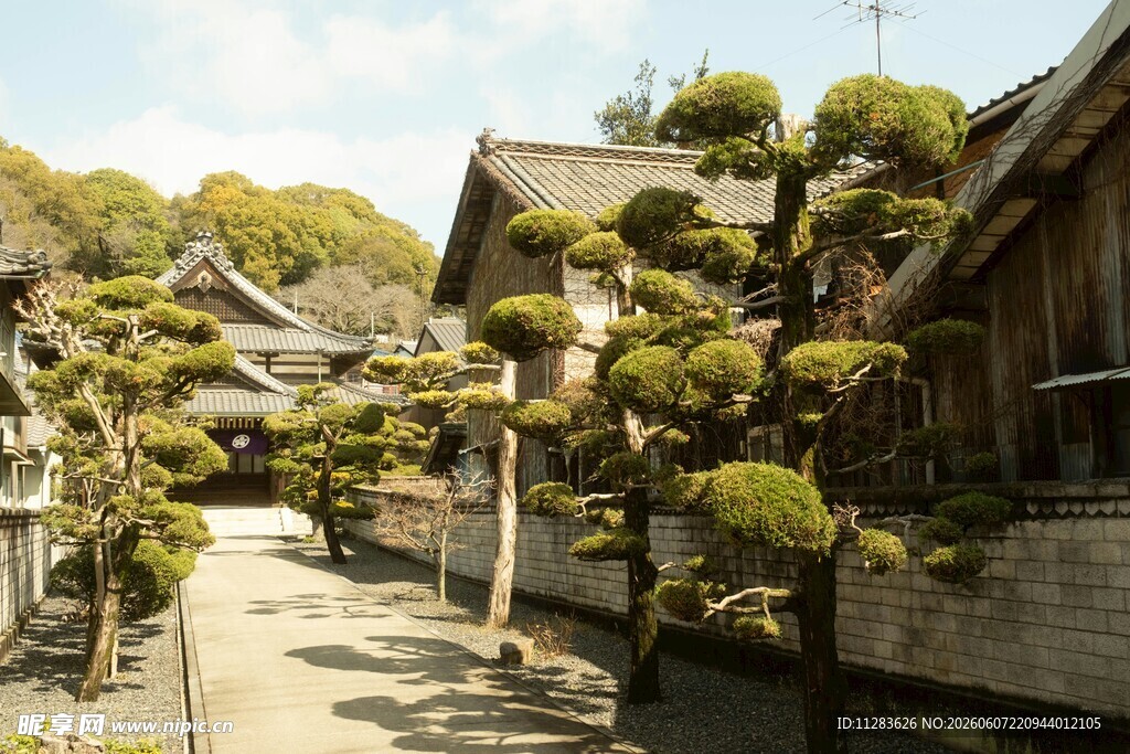 日式庭院中的精致盆景