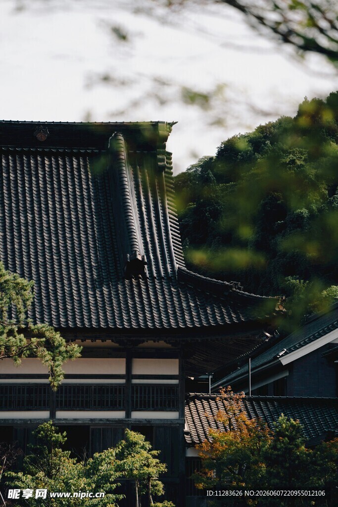 中式古建筑屋顶景观