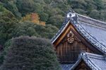 日式木屋隐于山林间