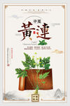 黄连中药材宣传海报