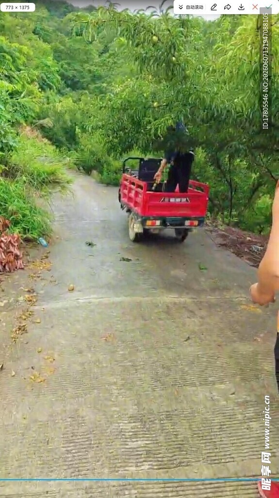 红色卡车行驶在乡间小道