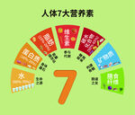 人体7大营养素