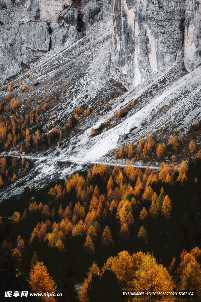 秋景中的雪山与斑斓树林