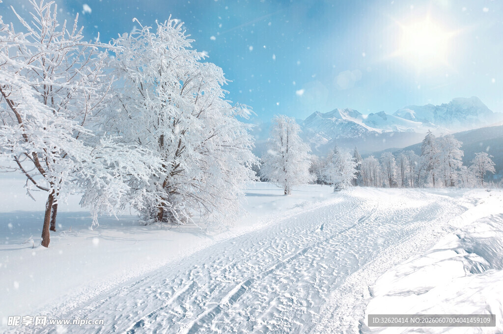 冬日雪景中的宁静雪路