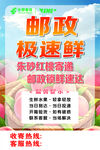 邮政极速鲜朱砂红桃速送