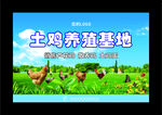 土鸡养殖基地 喷绘