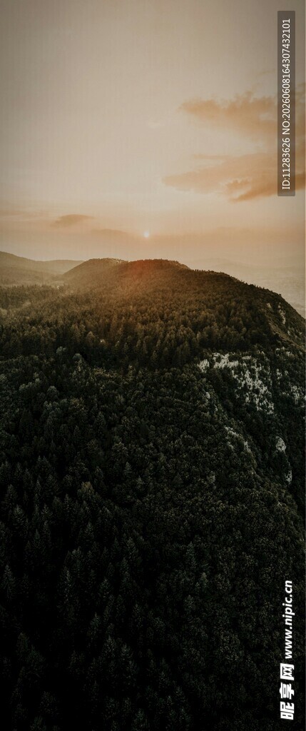 日出山林美景
