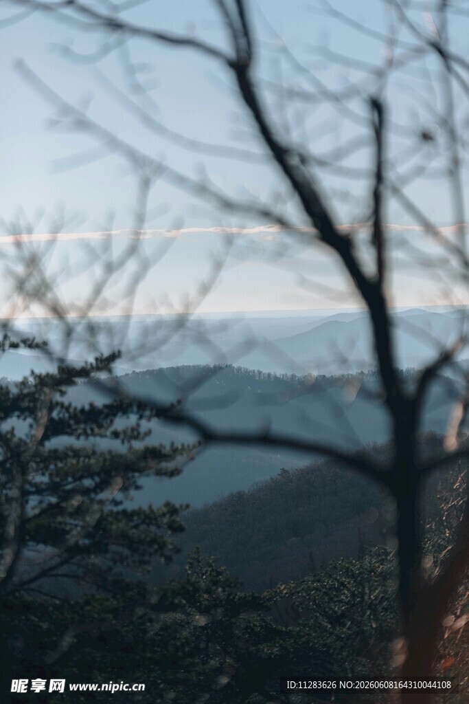 山间暮色枯树