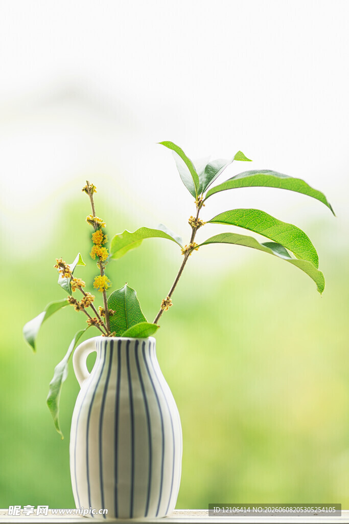 条纹花瓶中的绿植