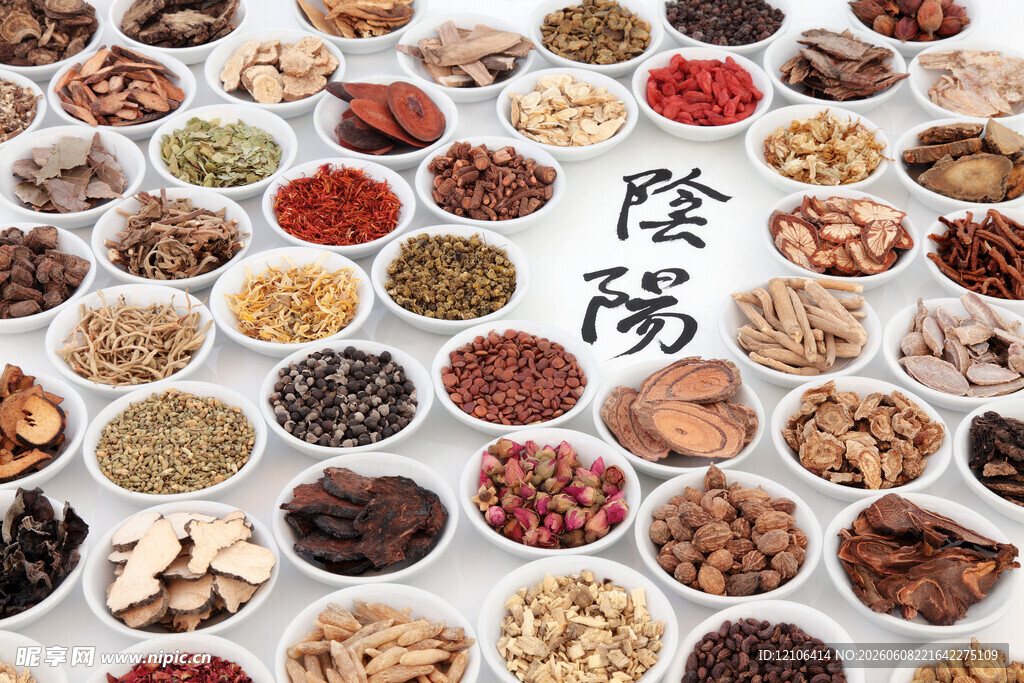 传统中药材展示