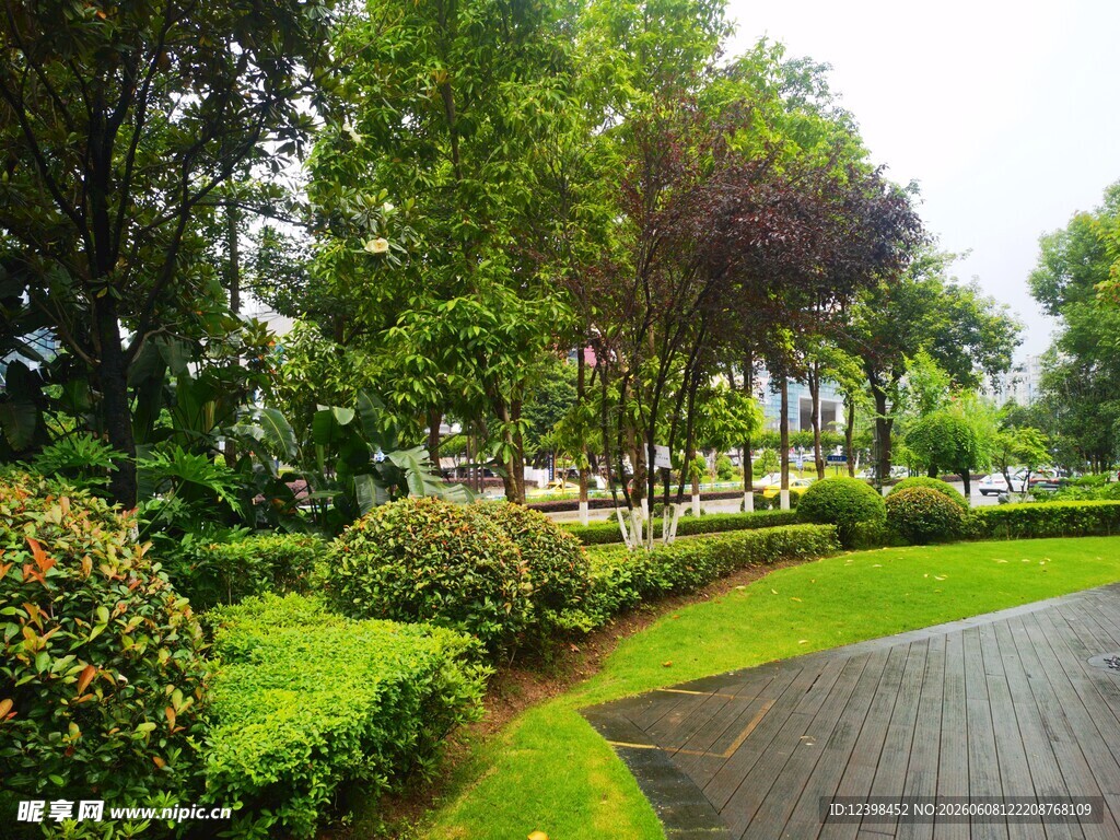 雨后清新的园林景观