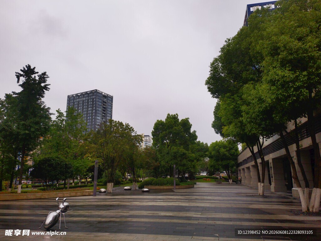 雨后城市街道的静谧景象