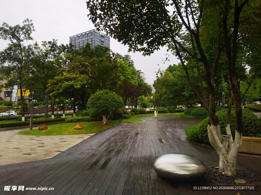 雨后林荫小道景观