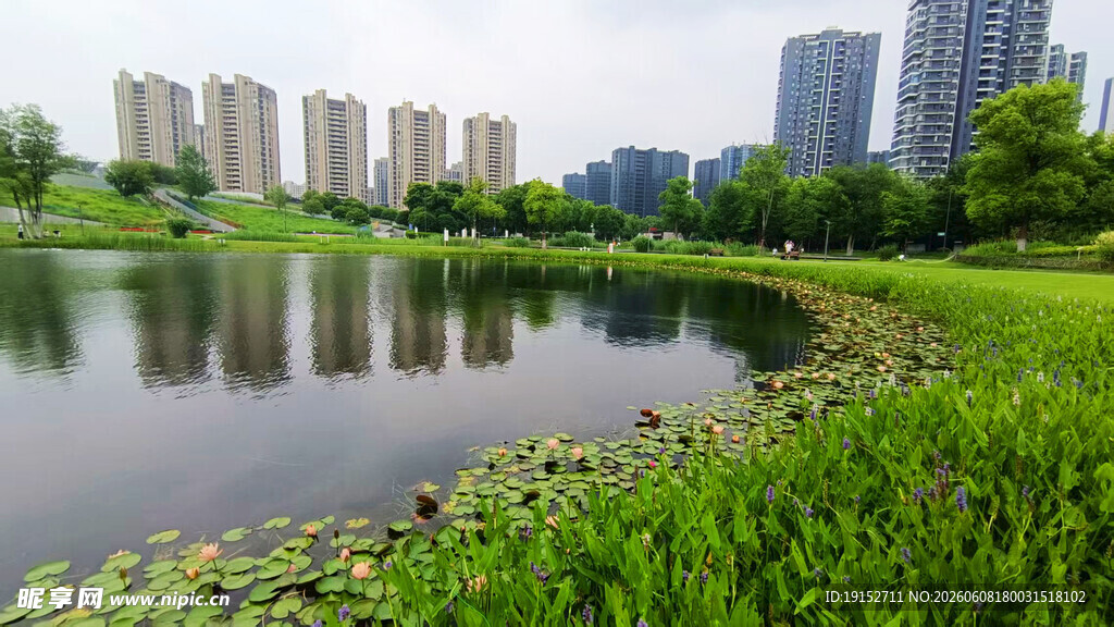 湖畔城市风景