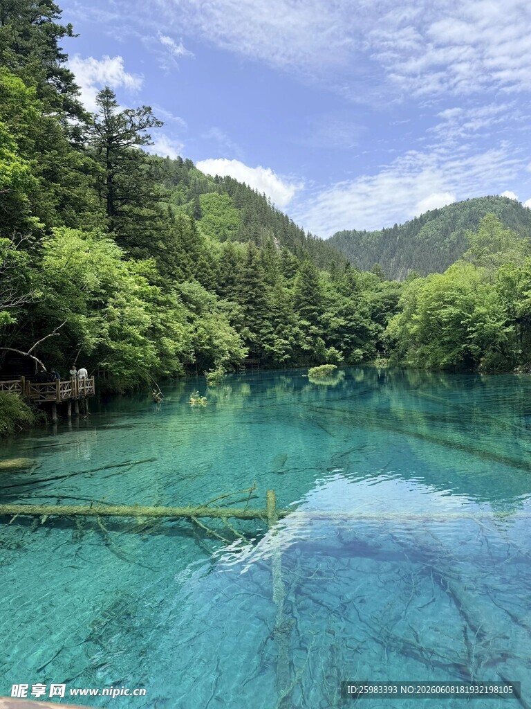 森林湖泊