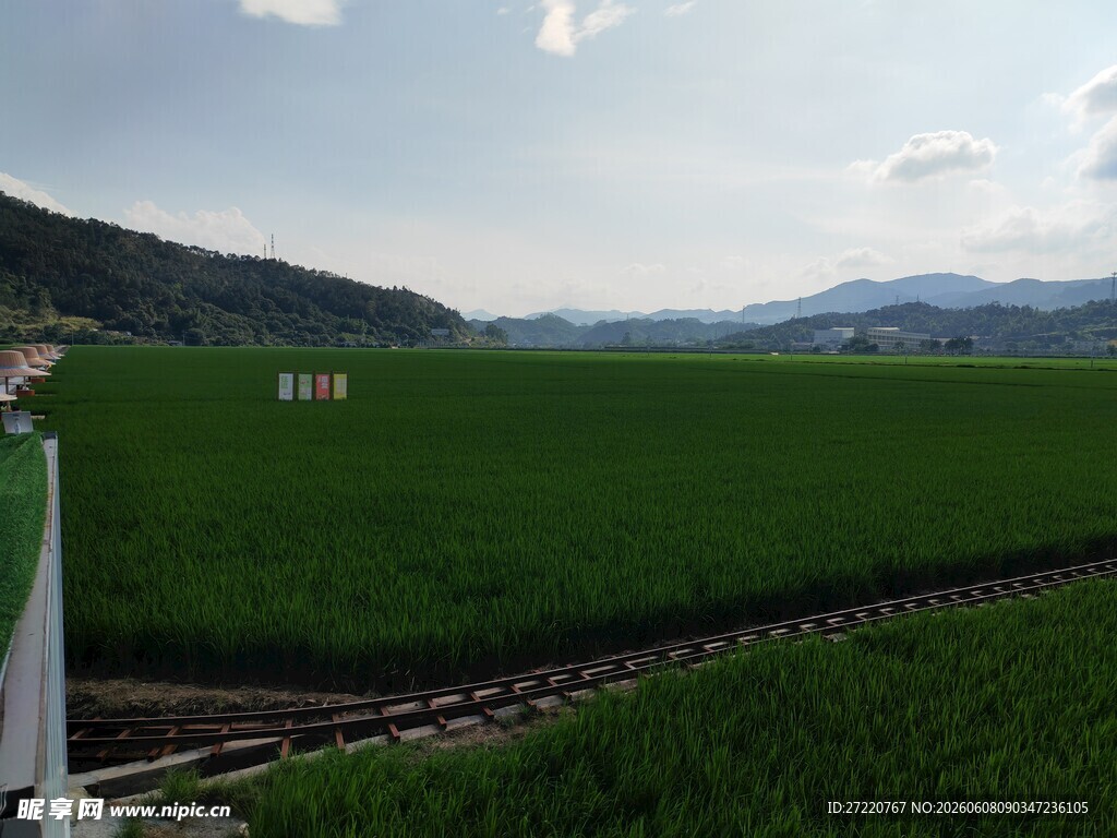 田野铁轨旁的开阔风光