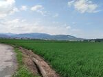 乡间田野小路风景
