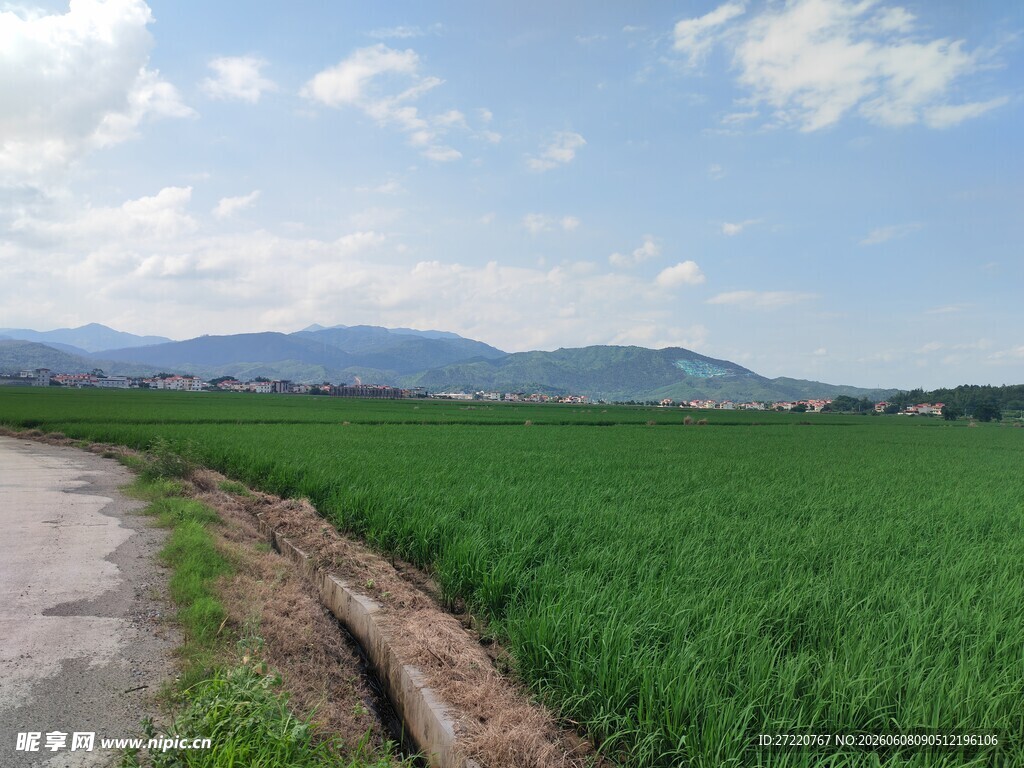 乡间田野小路风景