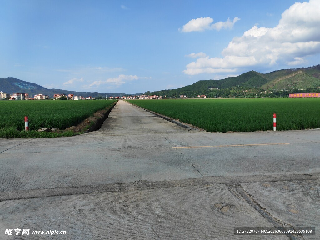 乡村水泥路 绿野入远景