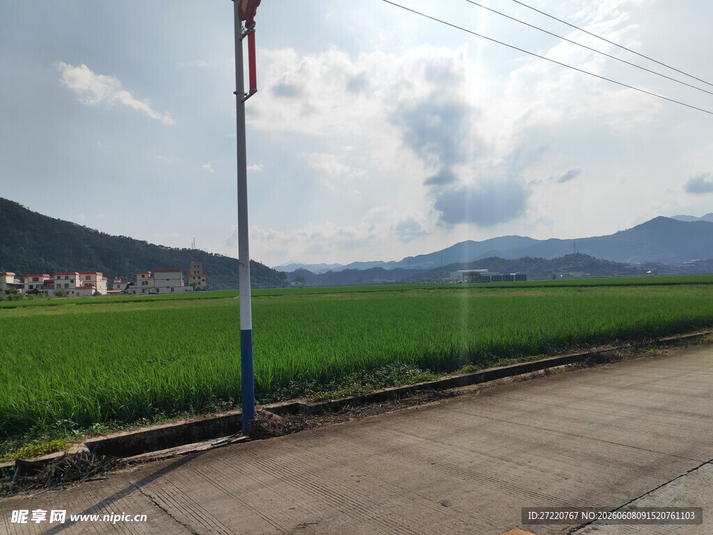 乡村田野间的宁静道路