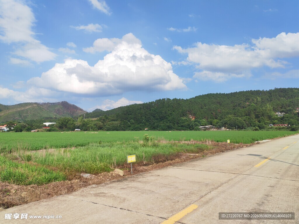 乡村公路边的自然风光
