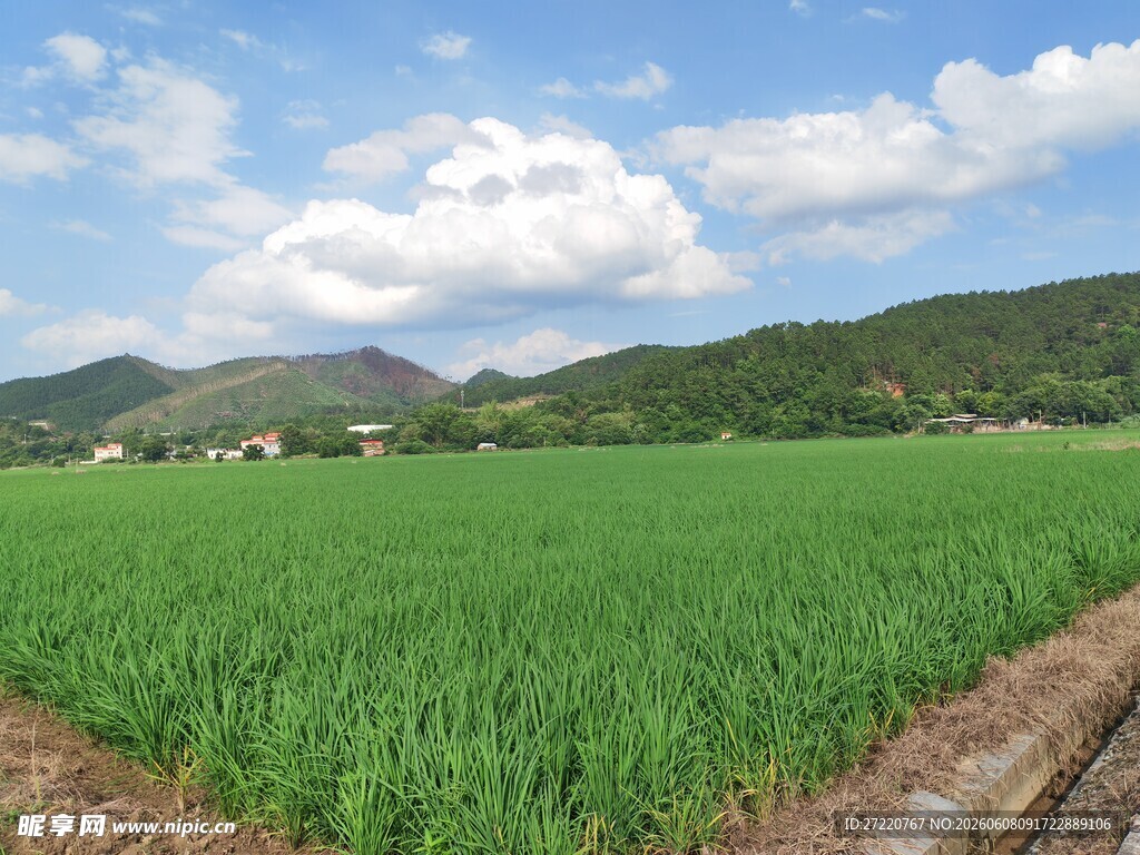 广袤绿野与远山蓝天
