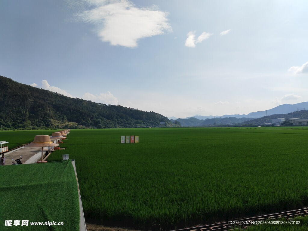 田园绿野景色