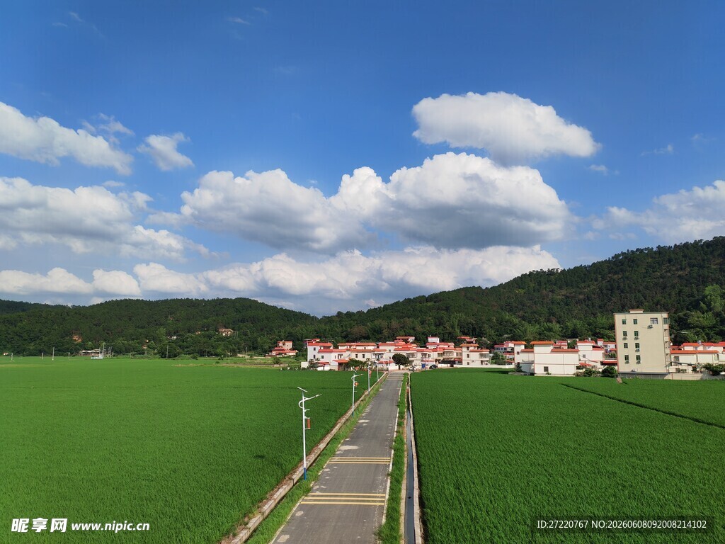 田园风光中的乡村美景