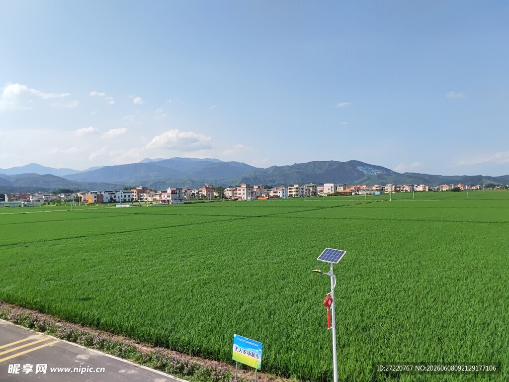 田园风光中的道路与田野