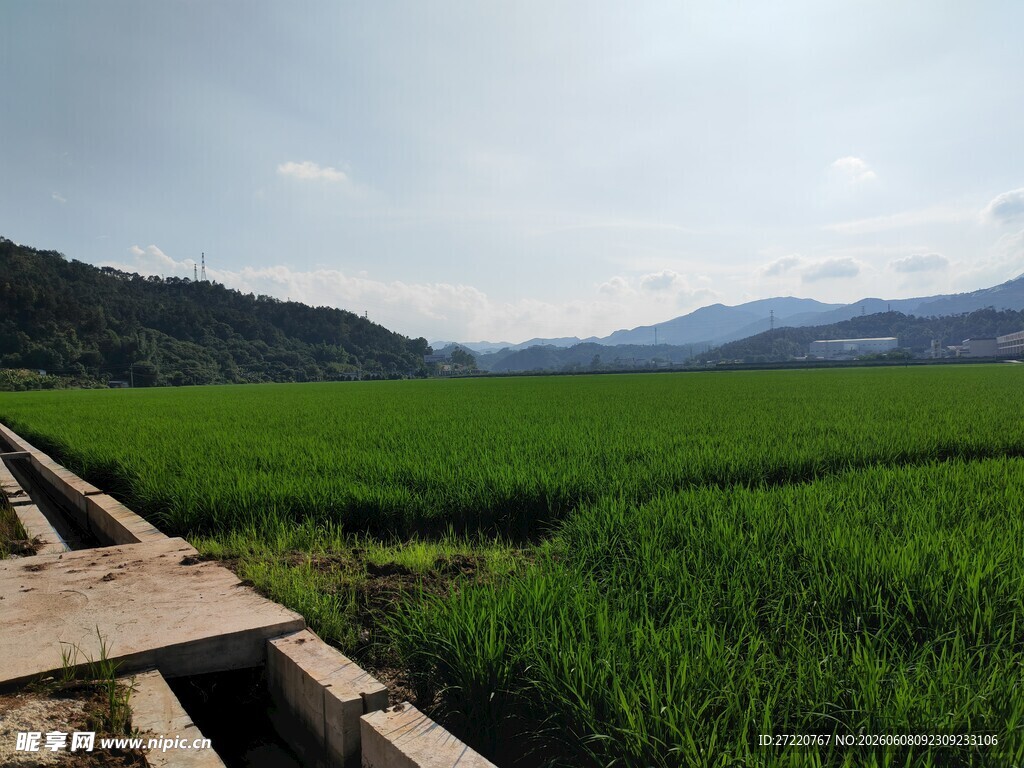 田园风光 