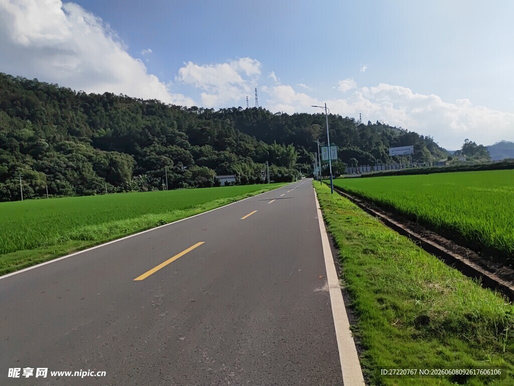 乡村公路旁的绿野风光