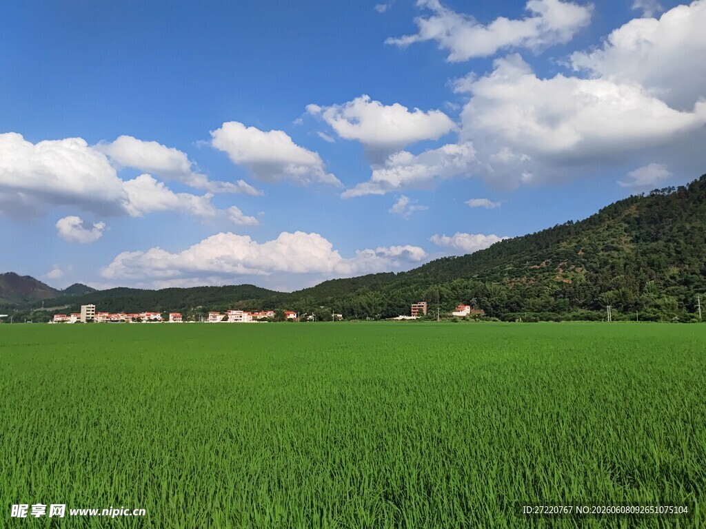 广袤绿野与远山蓝天