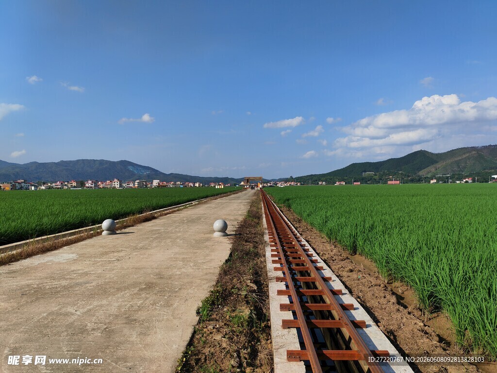 田野风光