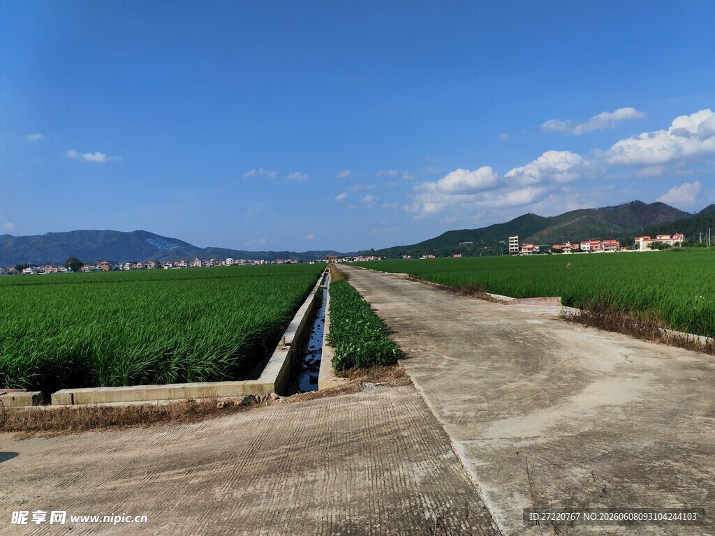乡村田间小路风景