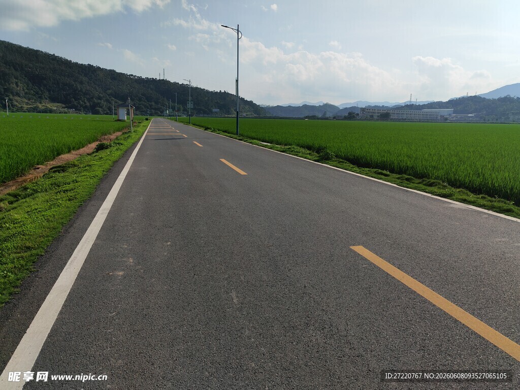 乡间公路 绿意盎然的旅程