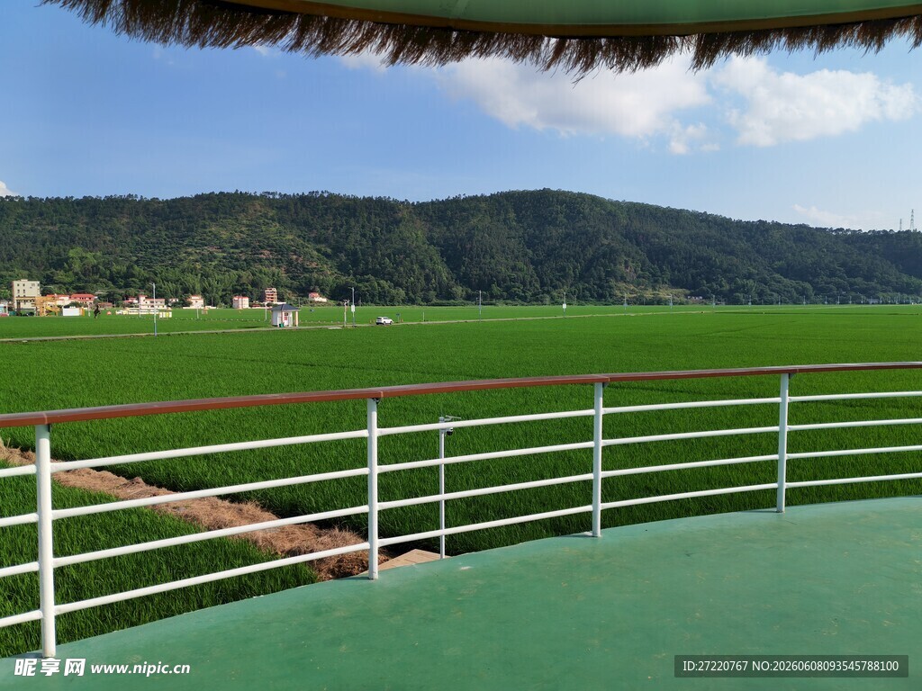 田园风光美景