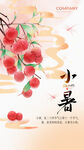 小暑宣传海报图片