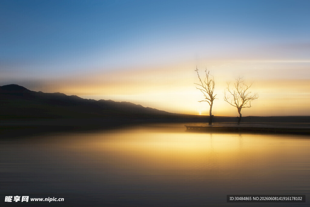黄昏湖畔双树静谧美景